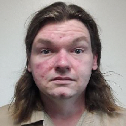 Offender Image