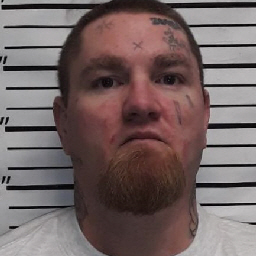 Offender Image